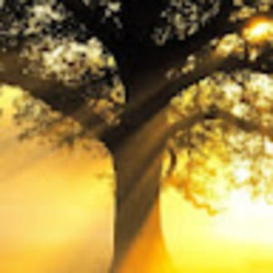 Meet your Posher, Ben